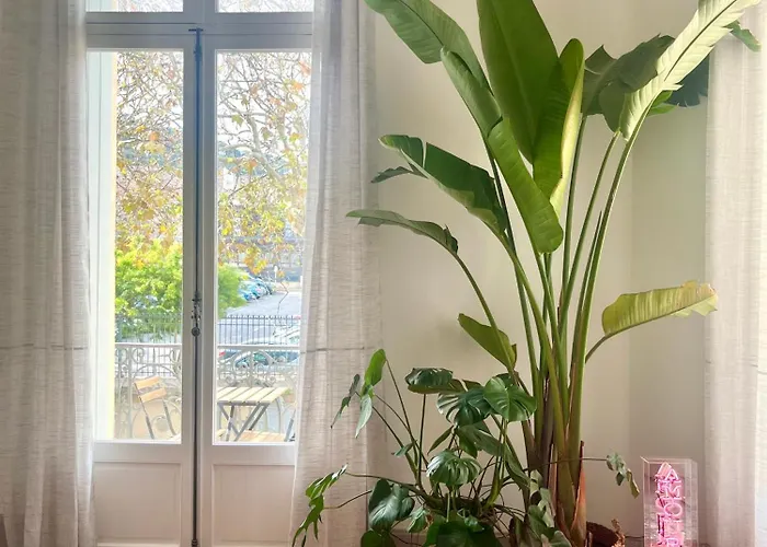 L'echappee Setoise - Haussmannien - Localisation Exceptionnelle - Proche Canal Lägenhet Sète